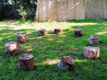 Forest log seating