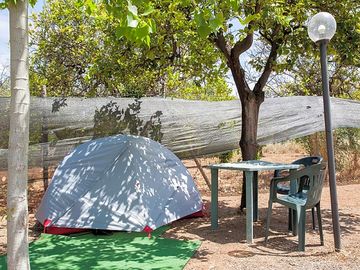 Pitch in the shade of the trees