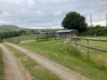 Easy access to the pitches