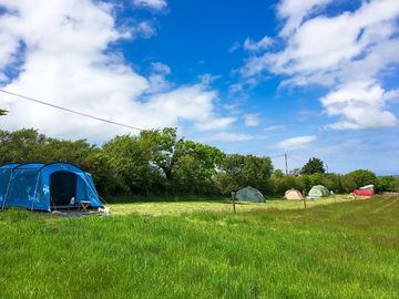 Camping field