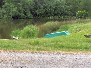 The fishing pond on site