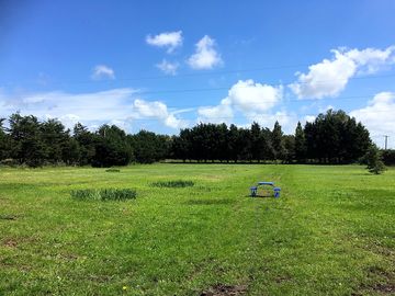 Well-maintained grass pitch (added by manager 21 jul 2020)