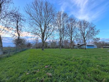 Grassy pitches