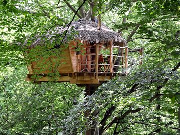 Outside berceau treehouse