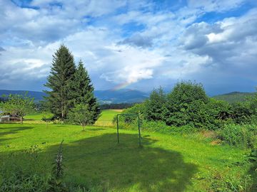 Wetter
