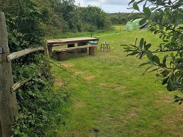 Camping pitches (added by manager 14 jul 2020)