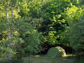 Secluded tent pitch