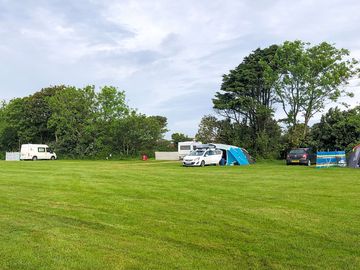 Grass pitches
