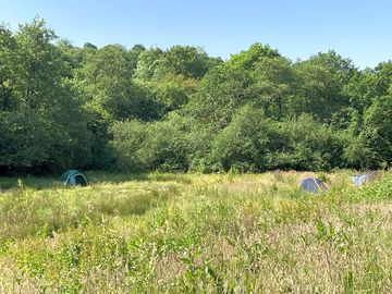The camping meadow