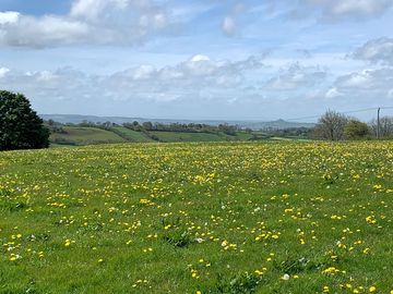 View from the pitch (added by manager 09 may 2021)