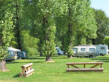 Grass pitches under partial shade