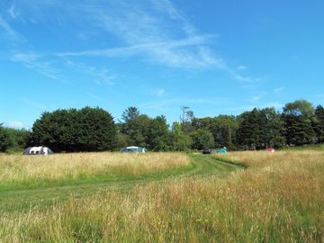Sunny day at covert farm