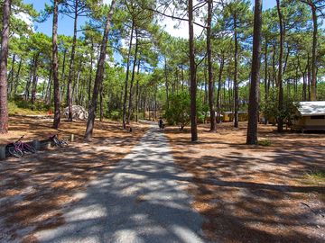 Around the site