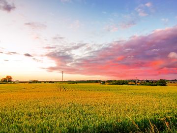 Visitor image of sunset at larkrise