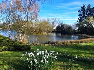 The pond in spring (added by manager 26 feb 2024)