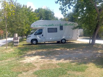 Pitches under the trees