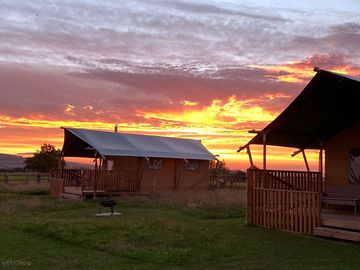 Safari tents sunset. (added by manager 03 feb 2022)