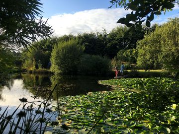 Grumpy's pond