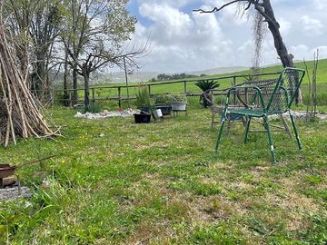 Outdoor area