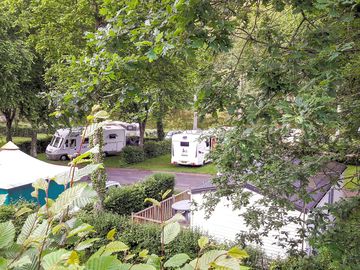 Grass pitch in the woods