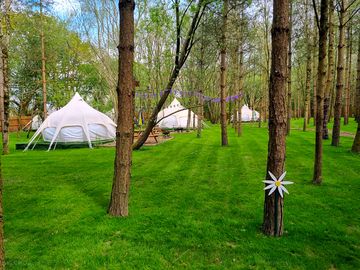 3 and 4 person tent area