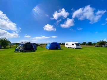 Standard grass electric pitches