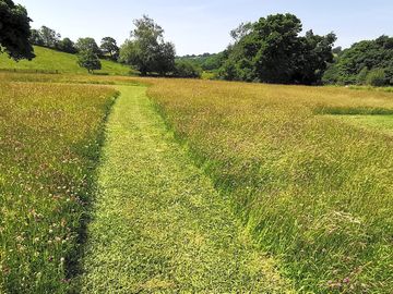 Mown path to the pitches (added by manager 24 feb 2023)