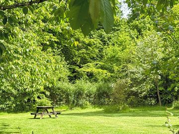 Small meadow