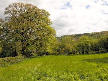 View from the hut