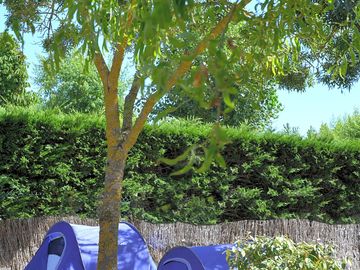 Pitches surrounded by greenery