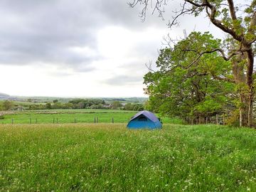 Grass pitches (added by manager 12 sep 2023)