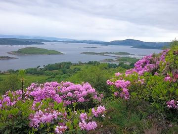 Islands and a view of the estate
