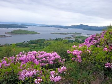 Islands and a view of the estate (added by manager 11 jan 2024)