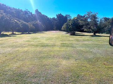 Flat field for camping
