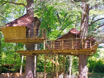 Ouistitis treehouse (added by manager 06 feb 2020)