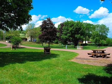 Picnic area with communal barbecues
