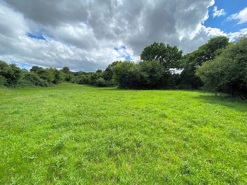 Grassy pitches