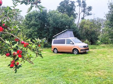 Camper in the orchard field (added by manager 05 aug 2022)