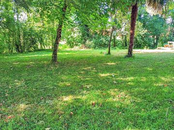 Pitches shaded by trees