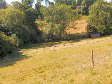 Area near the stream