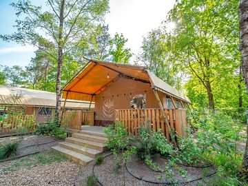 Safari tent