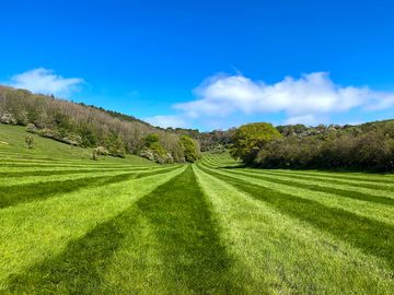 Campsite by the south downs way