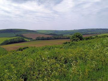 Chalk meadow site