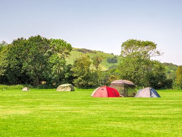 Campsite