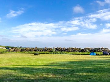 Wee bivvy tents can explore the site (added by manager 25 aug 2022)