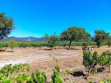 Pitches with vineyard and mountain views