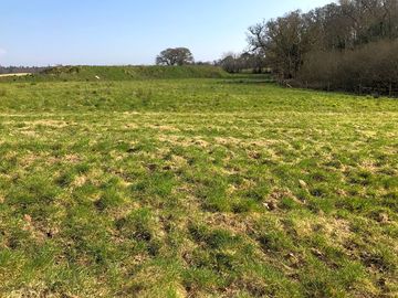 Rural meadow setting, adjacent to fields and heronshaw house (added by manager 05 apr 2021)