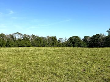 Grass pitches