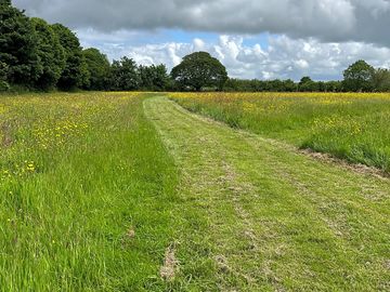 Large site with a small number of pitches