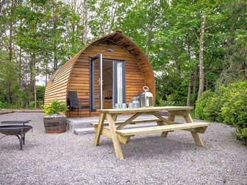 Firepit and picnic table